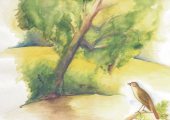 Kakasy Éva: A madarak és fák napja