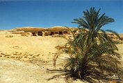 Siwa oázis (Egyiptom)(fotó: Konkoly-Thege György)