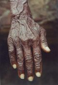 Öreg kéz (India)(fotó: Konkoly-Thege György)