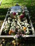 József Attila családi sírhelye a Kerepesi temetőben – 2005, emlékév(fotó: Perdy-Fazakas Brigitte)