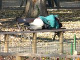 Hajléktalan ember 2006-ban (Fotó: Vimola Ágnes)