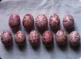 Hímes tojások (fotó: Gottl Egon)